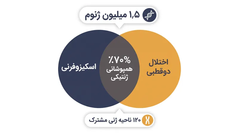 این مطالعه ۱۲۰ ناحیه ژنی خاص را شناسایی کرد که خطر ابتلا به هر دو بیماری را افزایش می‌دهند.