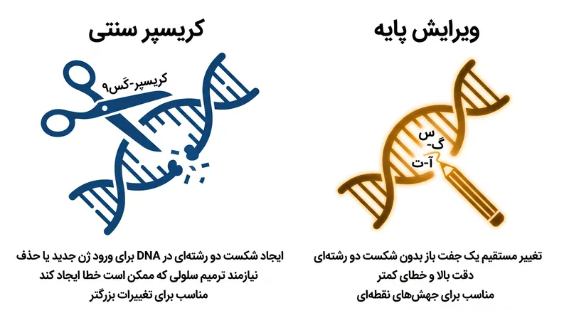 برخلاف کریسپر سنتی، ویرایش پایه به صورت شیمیایی DNA را تغییر می‌دهد و مارپیچ دوتایی را قطع نمی‌کند.