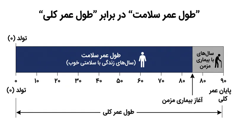 این مطالعه تأکید کرد که این تغییرات روزانه نه تنها طول عمر را افزایش می‌دهند، بلکه به طور خاص سال‌های زندگی بدون بیماری مزمن را طولانی‌تر می‌کنند.