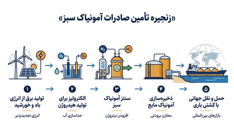 برای صادرات انرژی سبز در سطح جهانی، هیدروژن اغلب به آمونیاک سبز تبدیل می‌شود، که مایع‌سازی و حمل و نقل آن از طریق دریا آسان‌تر است.