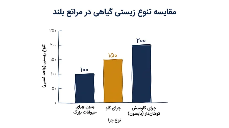 مطالعه‌ای ۳۰ ساله نشان داد که چرای گاومیش کوهان‌دار (بایسون) تنوع زیستی گیاهی را در مقایسه با مراتع بدون چرا، دو برابر می‌کند.