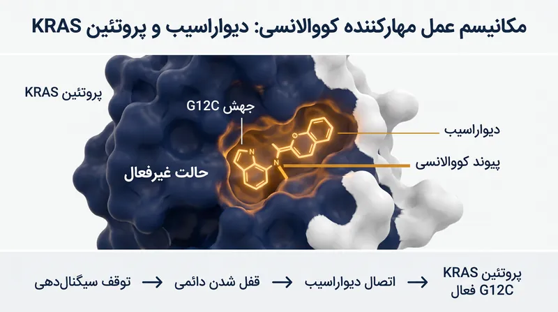 دیواراسیب یک مهارکننده کووالانسی است که به یک شیار خاص بر روی پروتئین جهش‌یافته KRAS متصل می‌شود، آن را در حالت غیرفعال قفل می‌کند و رشد سرطان را متوقف می‌سازد.