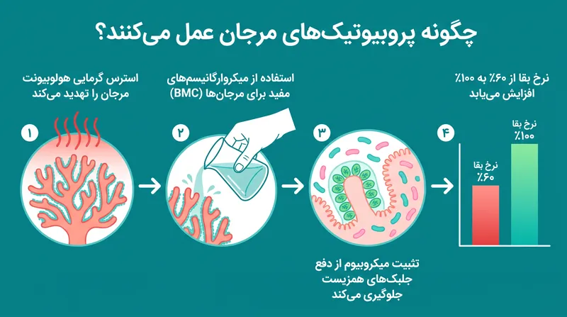 میکروارگانیسم‌های مفید مانند دارو عمل می‌کنند و زیست‌شناسی مرجان را در طول امواج گرمایی شدید دریایی تثبیت می‌نمایند.