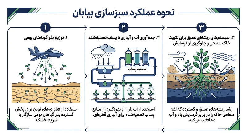 جنگل‌کاری بیابان به گونه‌های بومی متکی است که به طور طبیعی شن‌های روان را تثبیت می‌کنند.