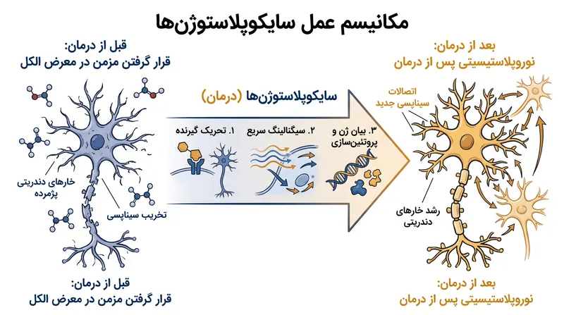 مشتقات ایبوگائین مهندسی‌شده با هدف ترمیم فیزیکی مدارهای عصبی آسیب‌دیده در اثر مصرف مزمن مواد ساخته شده‌اند.