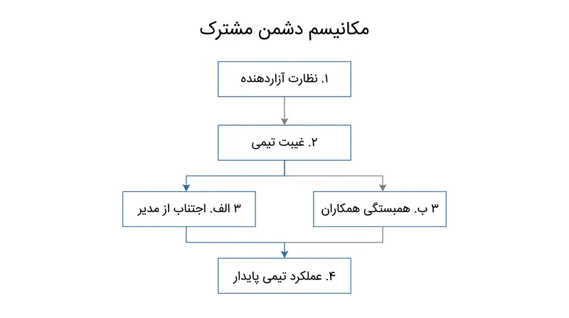 چگونه نظارت آزاردهنده سهواً باعث ایجاد همبستگی تیمی محافظتی می‌شود.