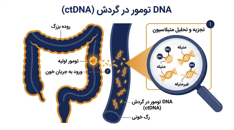 بیوپسی‌های مایع، قطعات میکروسکوپی DNA را که توسط تومورها در جریان خون ریخته می‌شوند، شناسایی می‌کنند.