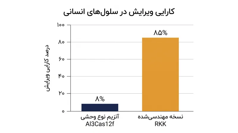 نسخه مهندسی‌شده RKK در مقایسه با آنزیم طبیعی، جهشی عظیم در کارایی ویرایش نشان داد.