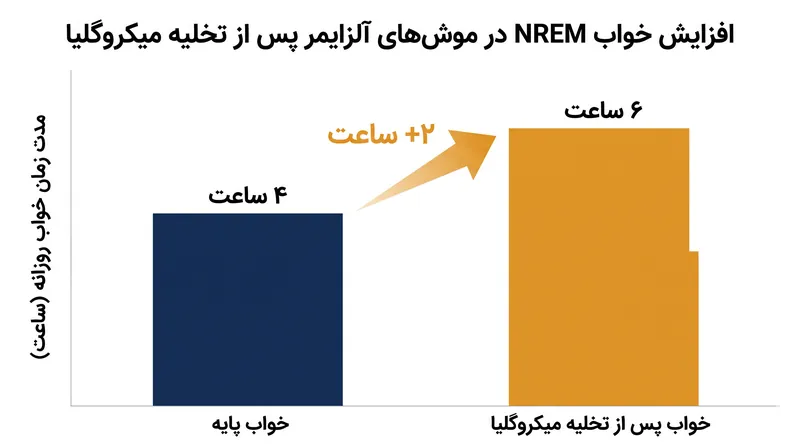 تخلیه میکروگلیاهای بیش‌فعال، بیش از دو ساعت خواب ترمیمی NREM در روز را در مدل‌های حیوانی بازیابی کرد.