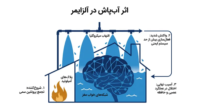 محققان پاسخ ایمنی مغز را به سیستم آب‌پاشی تشبیه می‌کنند که اختلال بیشتری نسبت به آتش‌سوزی اولیه ایجاد می‌کند.