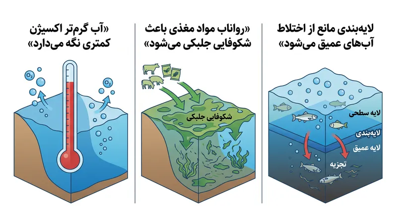 دو عامل اصلی کاهش اکسیژن: افزایش دمای جهانی و آلودگی مواد مغذی ناشی از رواناب کشاورزی.