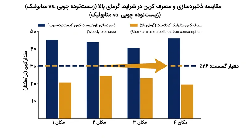 مطالعات نشان می‌دهد که تا ۲۶ درصد از جذب سالانه کربن می‌تواند پس از توقف رشد طولانی‌مدت چوب رخ دهد.