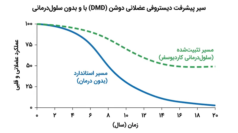برخلاف درمان‌هایی که جهش‌های ژنتیکی را هدف قرار می‌دهند، سلول‌درمانی به دنبال متوقف کردن التهاب پایین‌دستی است که بافت عضلانی را تخریب می‌کند.