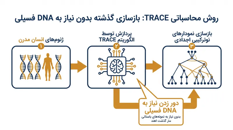 الگوریتم TRACE مستقیماً از DNA مدرن، روابط نسبی باستانی را بازسازی می‌کند.