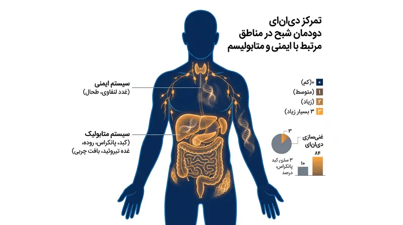 دی‌ان‌ای دودمان شبح به شدت در مناطقی مرتبط با ایمنی و متابولیسم متمرکز است.