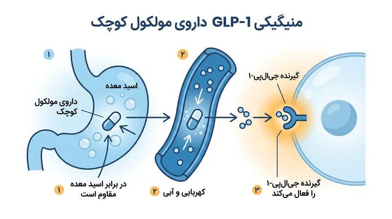 برخلاف پپتیدهای آسیب‌پذیر، داروهای مولکول کوچک از نظر شیمیایی به اندازه‌ای پایدار هستند که می‌توانند از دستگاه گوارش عبور کنند.