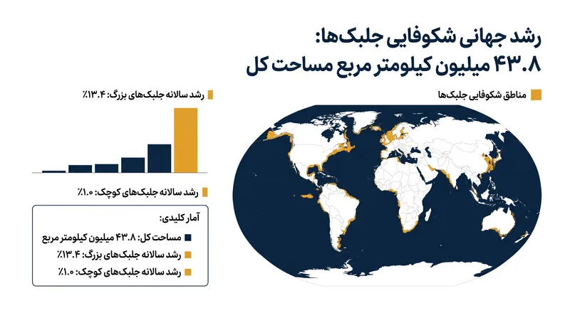 شکوفایی جلبک‌های بزرگ در مناطق کلیدی با نرخ بی‌سابقه ۱۳.۴٪ سالانه گسترش یافته است.