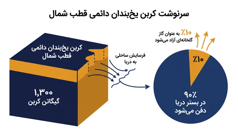 بخش عمده کربن فرسایش یافته از سواحل قطب شمال به طور ایمن در بستر دریا دفن می‌شود.