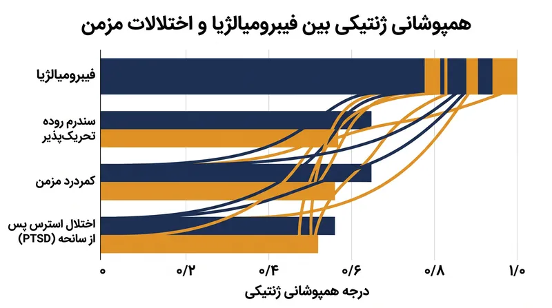 محققان همپوشانی ژنتیکی قابل توجهی بین فیبرومیالژیا و سایر اختلالات شایع درد مزمن و جسمی کشف کردند.