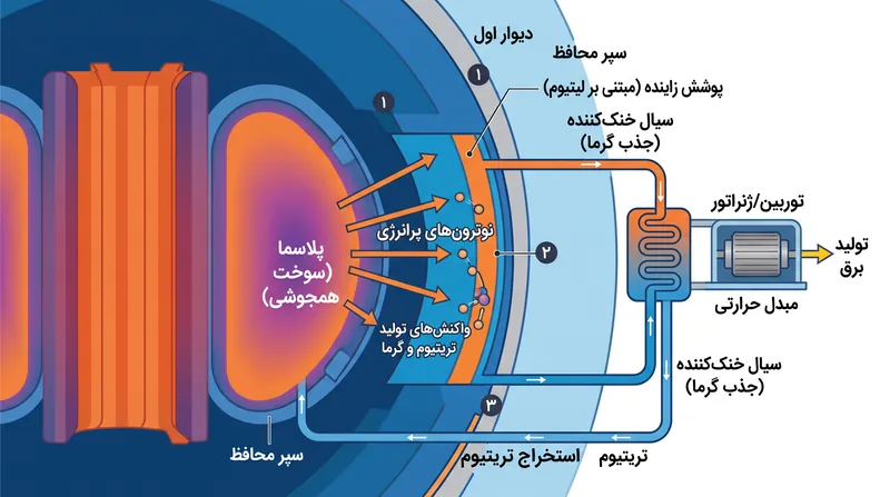 پوشش زاینده (Breeding Blanket) ضمن تولید تریتیوم برای سوخت‌رسانی به واکنش همجوشی مداوم، گرما را برای تولید برق جذب می‌کند.