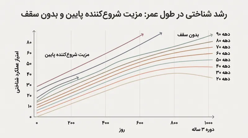 شرکت‌کنندگان در تمام گروه‌های سنی، بهبود مستمر شناختی را در طول دوره مطالعه ۱۰۰۰ روزه نشان دادند.