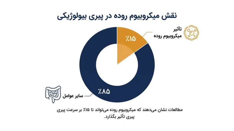 تغییرات در ترکیب باکتریایی روده، ۱۵٪ از تفاوت در سرعت پیری بیولوژیکی را تشکیل می‌دهد.