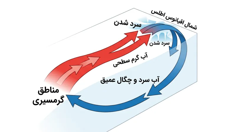 AMOC توسط گرادیان‌های چگالی که توسط دما و شوری کنترل می‌شوند، هدایت می‌شود.