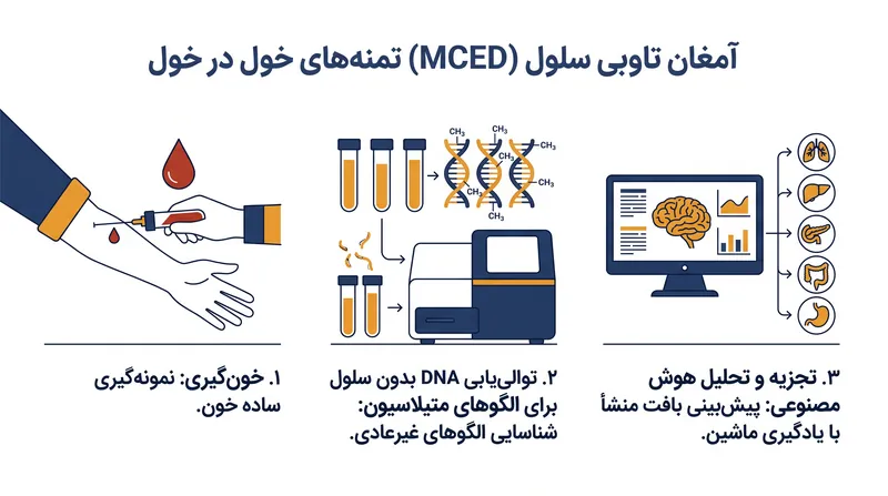 تست‌های MCED قطعات DNA تومور در گردش خون را تجزیه و تحلیل می‌کنند تا وجود و منشأ سرطان را شناسایی کنند.