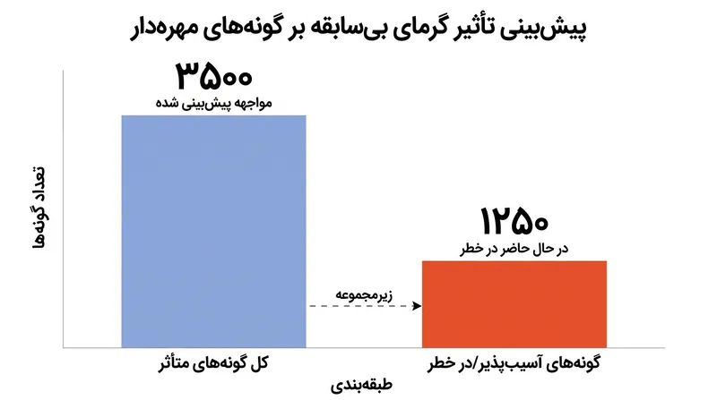 بیش از یک سوم گونه‌هایی که برای قرار گرفتن در معرض گرمای بی‌سابقه بین مه ۲۰۲۴ و فوریه ۲۰۲۵ مشخص شدند، قبلاً به عنوان آسیب‌پذیر یا در معرض خطر انقراض طبقه‌بندی شده بودند.