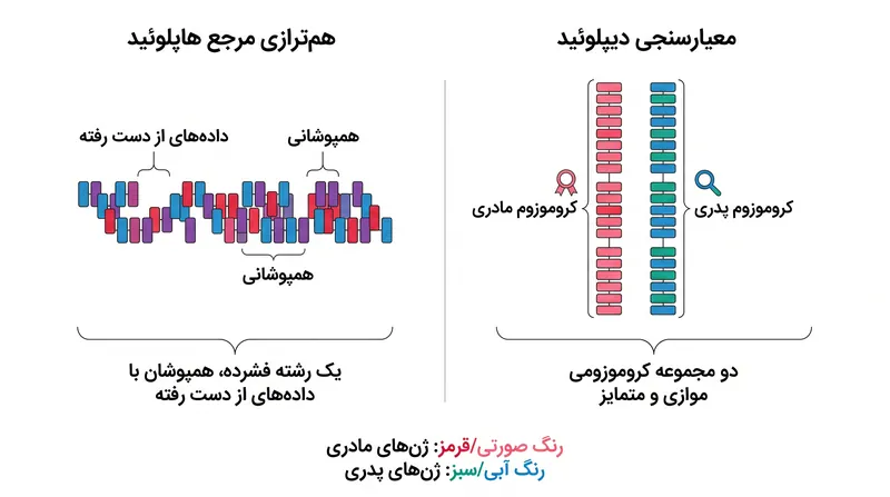 معیارسنجی دیپلوئید واریانت‌های ساختاری را حفظ می‌کند که هنگام فشرده‌سازی DNA در الگوی هاپلوئید از بین می‌روند.