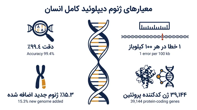 معیار دیپلوئید HG002 به دقت بی‌سابقه‌ای در هر دو هاپلوتایپ دست می‌یابد.