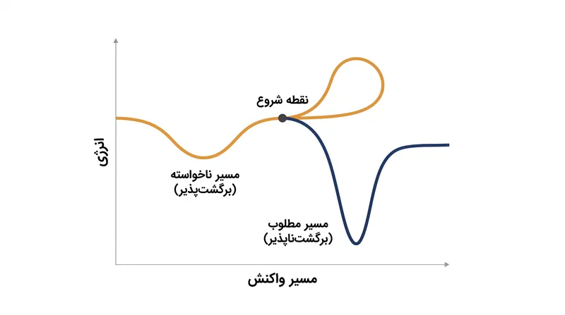 انتخاب‌پذیری به این دلیل پدیدار می‌شود که انتقال‌های الکترونی ناخواسته بسیار برگشت‌پذیر هستند، در حالی که واکنش مطلوب دائمی است.