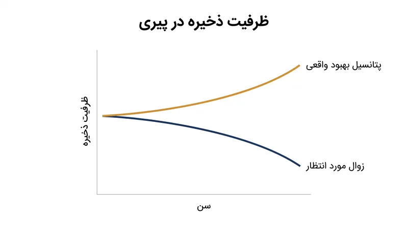 مفهوم «ظرفیت ذخیره» نشان می‌دهد که بدن پیر، توانایی پنهانی برای التیام و سازگاری را حفظ می‌کند، زمانی که توسط یک محیط روانی مثبت حمایت شود.
