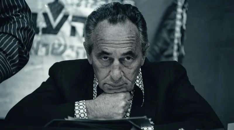 معاهده صلح ۱۹۷۹ میان مصر و اسرائیل، نخستین دستاورد دیپلماتیک عمده بر پایه چارچوب قطعنامه ۲۴۲ بود.